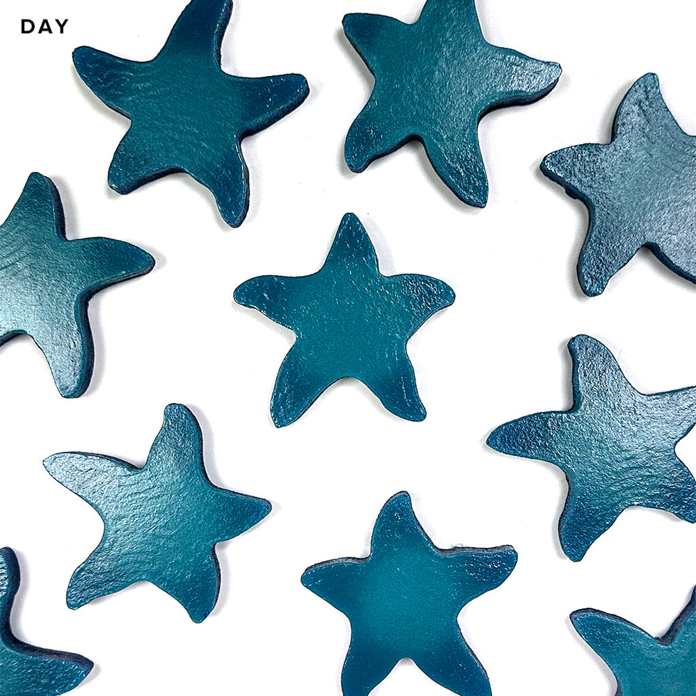 Mini Starfish Step Marker and Step Liner Mosaics