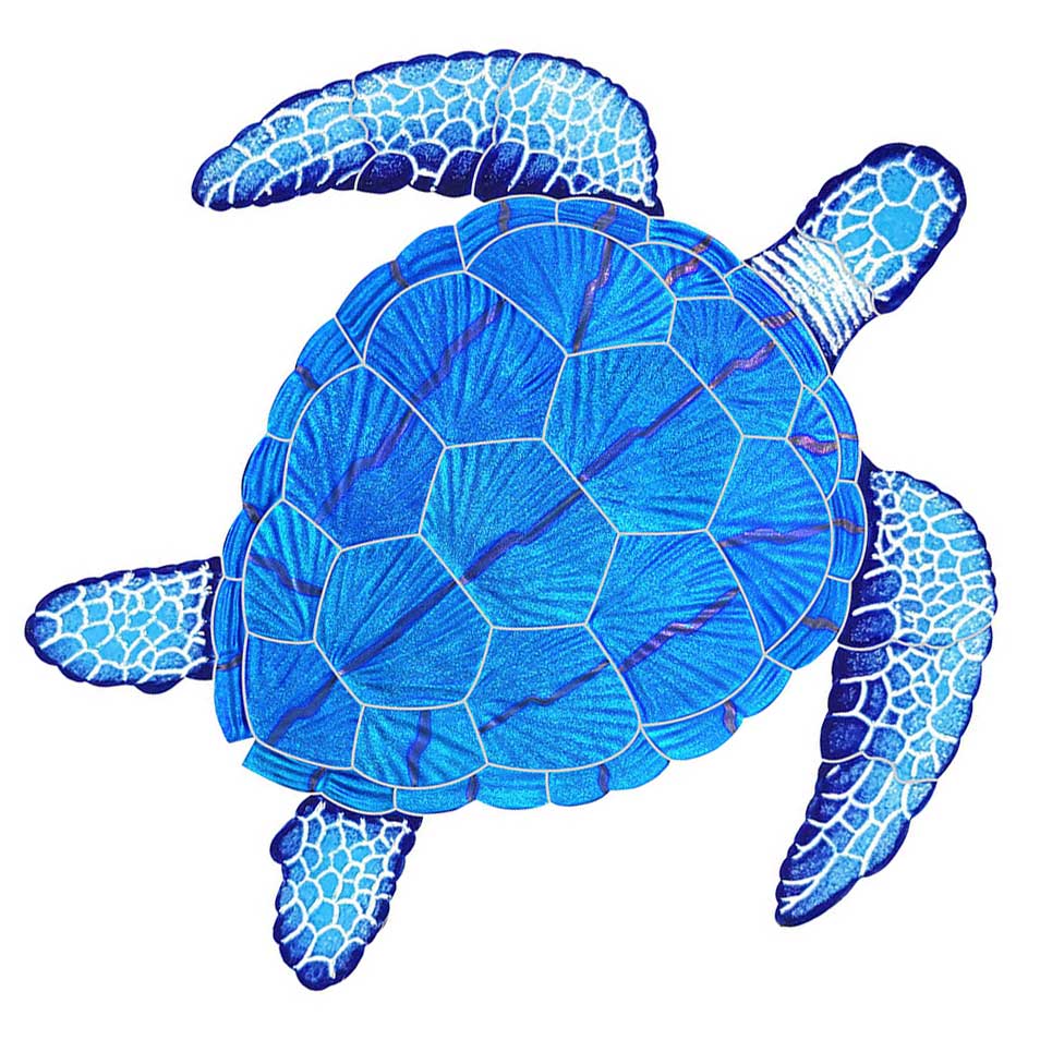 Blue turtle illustration on a white background