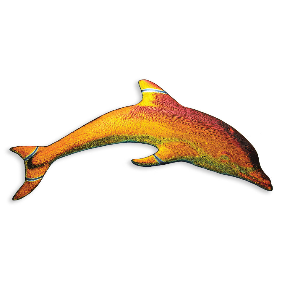 Colorful dolphin illustration on a white background