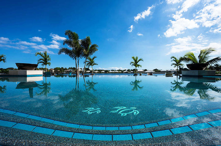 Pool area with palm trees and clear blue sky