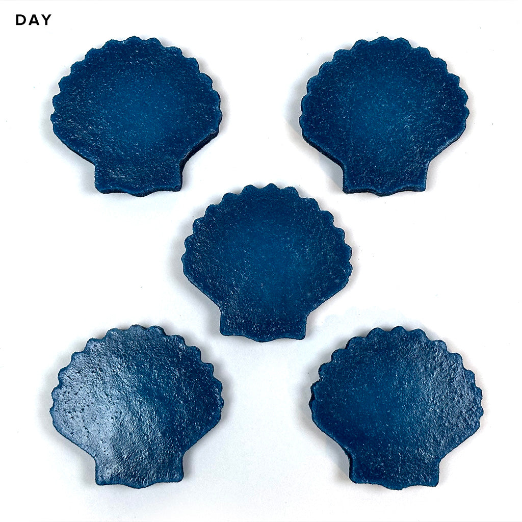 Shell Table Marker Mini Scallop Shells Step Marker Glow in the Dark Pool Mosaics – AquaTiles