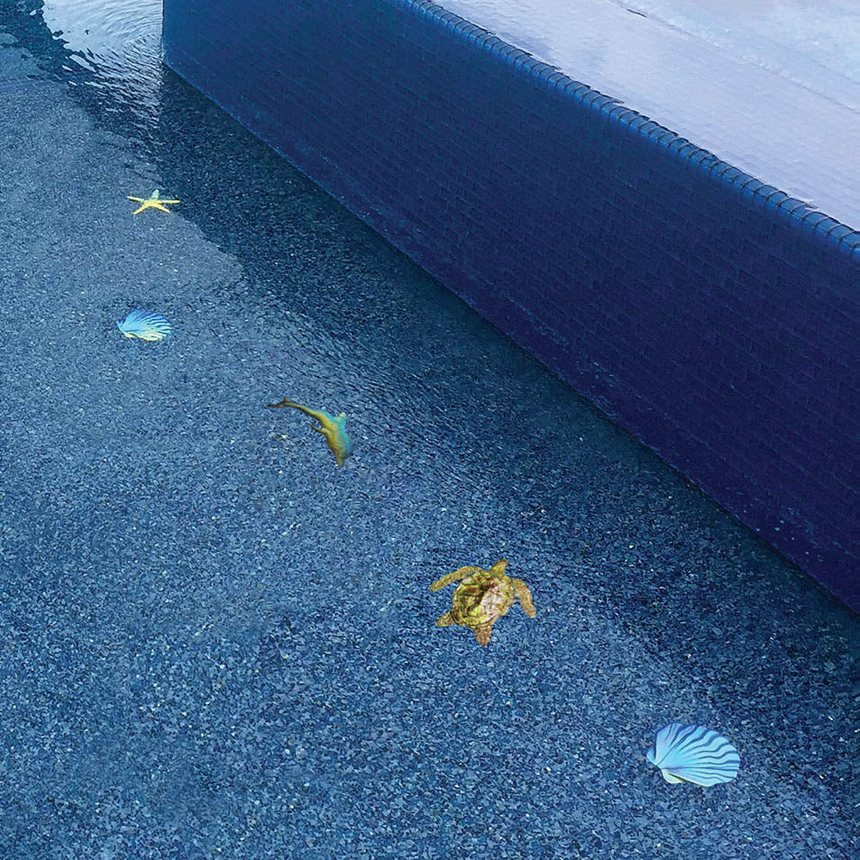 Decorative elements on a pool floor including shells and a turtle figure.