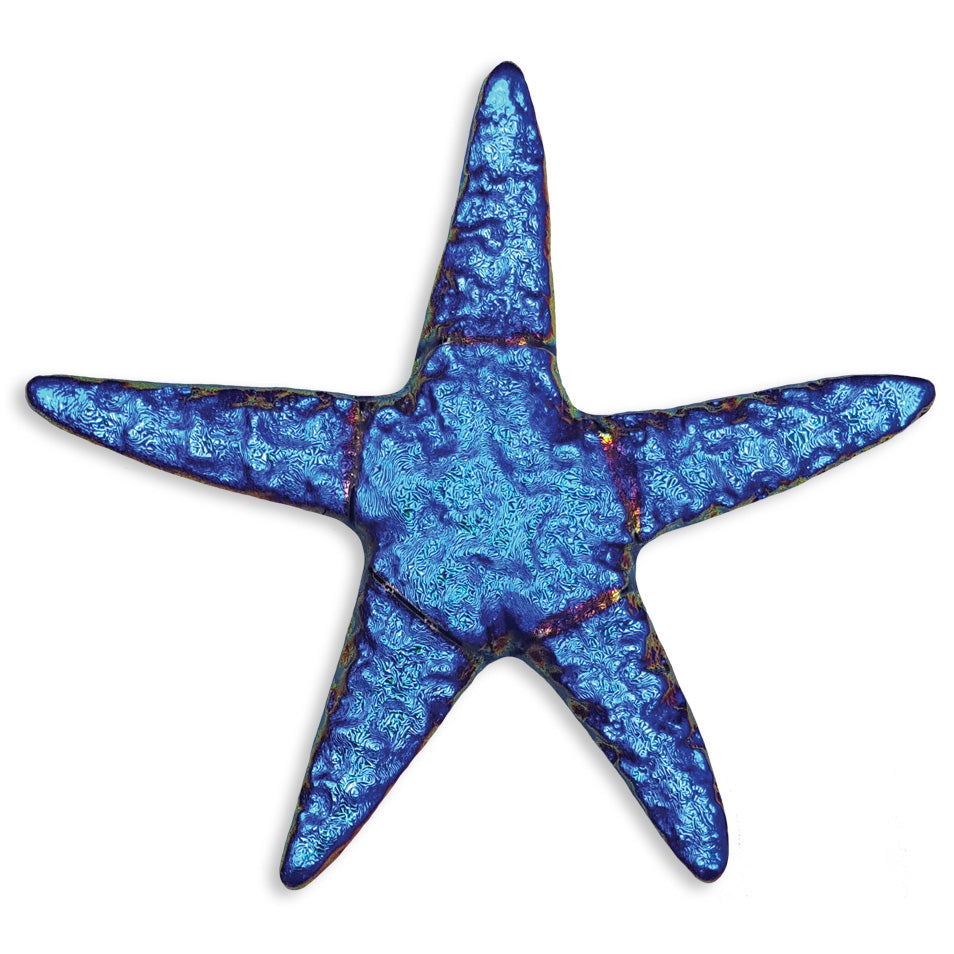 Blue starfish on a white background