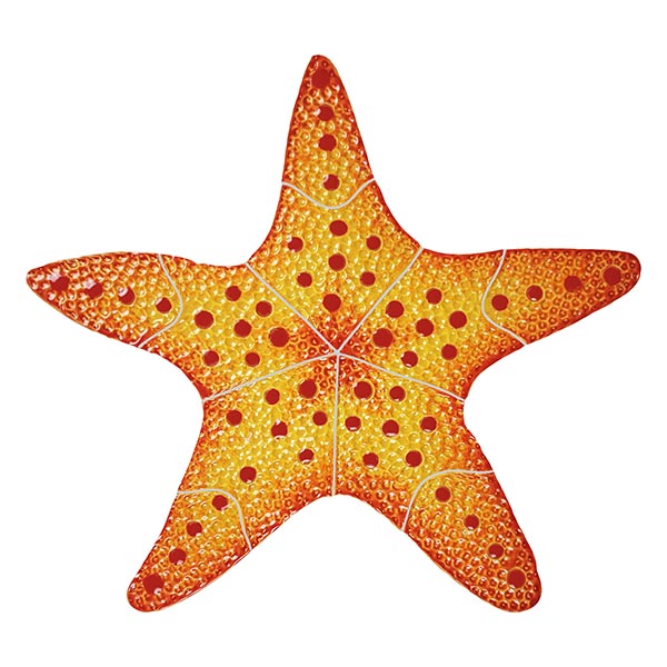 Starfish Red 10" Pool Mosaic