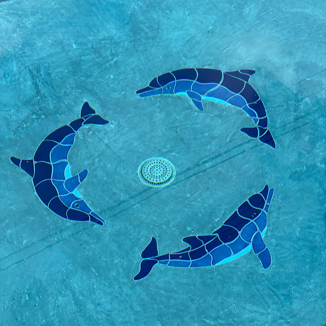 Dolphin Pool Mosaics