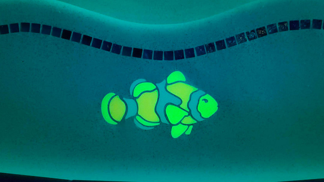 Clownfish Installed on Pool Step Glow in the Dark Night Time