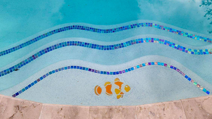 Clownfish Installed on Pool Step