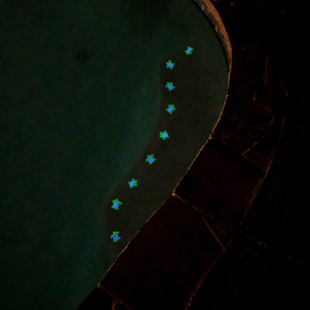 Mini Turtles Swerve Glow in the Dark Pool Mosaics