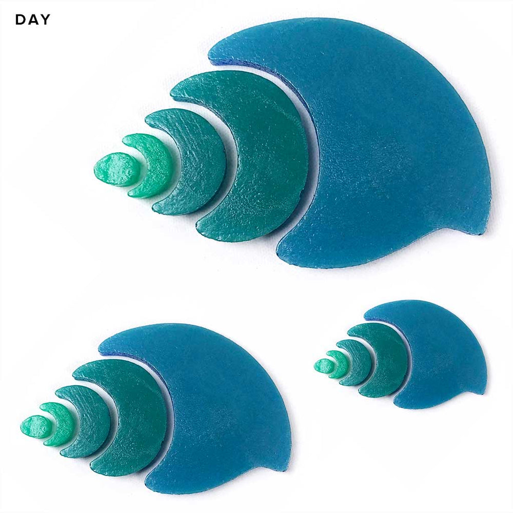 Nutmeg Shell Family Glow in the Dark Pool Mosaics