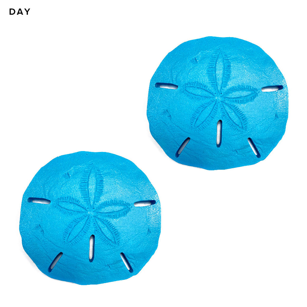 Sand Dollar 2 pack Glow in the Dark Pool Mosaics